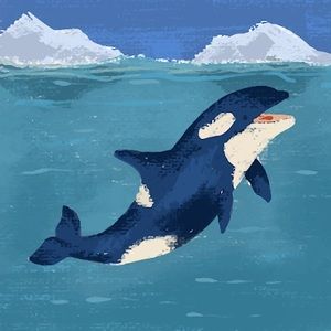 Meet your Posher, Ava